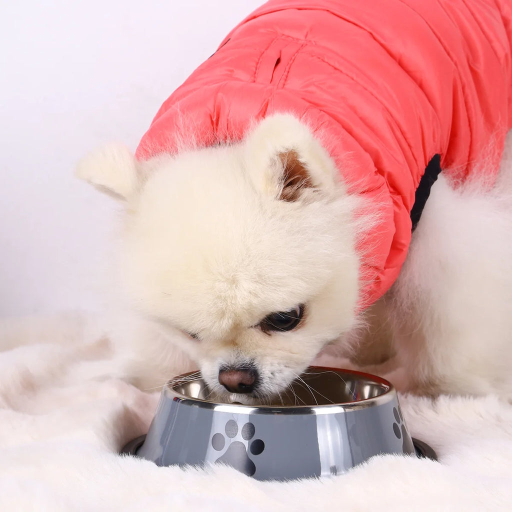 Stainless steel large capacity pet bowl dog food bowl multiple specifications anti-fall food bowl food bowl feeding pet supplies