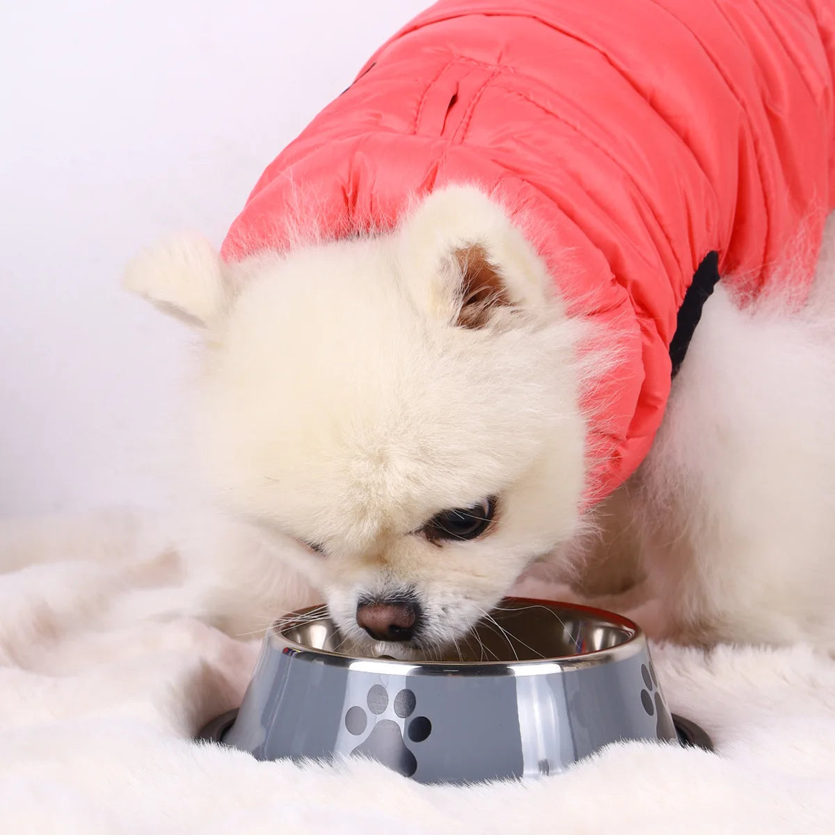 Stainless steel large capacity pet bowl dog food bowl multiple specifications anti-fall food bowl food bowl feeding pet supplies